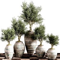 indoor plant stant 45