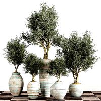 indoor plant stant 44