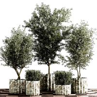 indoor plant stant 43