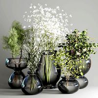 collection Plants Bouquet Indoor glass vase 04