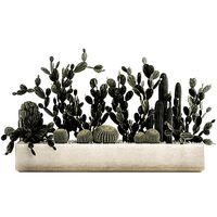 Prickly pear cactus collection in a concrete flowerpot 1103