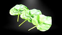 Spinach