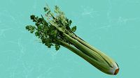 Celery