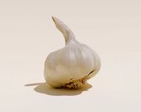 Photoscanned Garlic Bulb