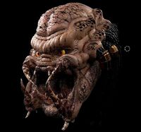 Predator