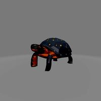 tortoise