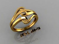 FSEN RING