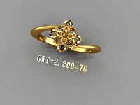FSEN RING