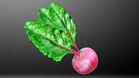 Beetroot