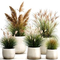 Reeds in a concrete flowerpot for the interior 1094