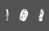 Ear Human