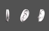 Ear Human
