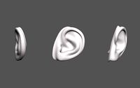 Ear Human
