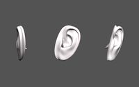 Ear Human