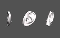 Ear Human
