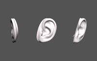 Ear Human