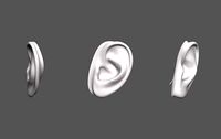 Ear Human