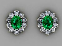 FSEN EARING