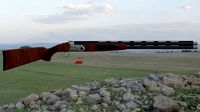 Shotgun