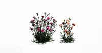 Carnation VFX Grace