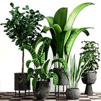 indoor plant stant 41