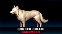 Border Collie Base Mesh