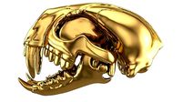 tiger skull