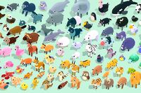 Quirky Series - Ultimate Pack
