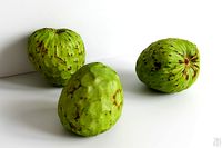 Cherimoya 002