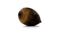 Beetroot 3D model photoscan