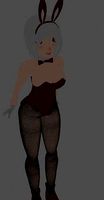 Girl Anime Waifu Bunny Mesh