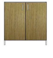 2 Door Base Cabinet