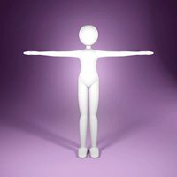 Stickman women Low-poly 3D model