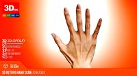 3D Retopologized Hand Scan Ishikawa Sayoko