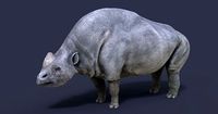 Elasmotherium