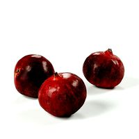 POLYPASTA - Pomegranate 01