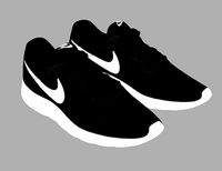 Nike Tanjun Roshe One React