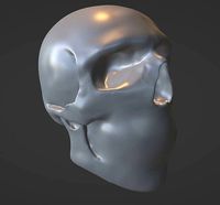 skull
