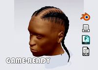 3d male afro braided hair