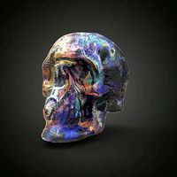 gemini zodiac scull