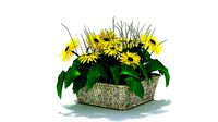 Flower pot