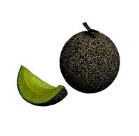 Melon
