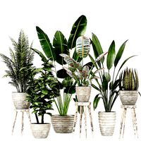 Indoor Plants in Ferm Living Bau Pot Large Banana