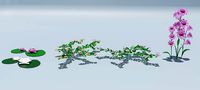 low poly Flowers Plant Low-poly
