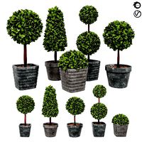Plant collection 2