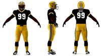 Green Bay Packers American Football Player Fur