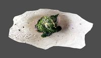 Realistic Algae Rock on Beach Photoscan