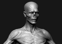 High poly zombie model
