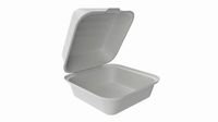 Take-away compostable container open
