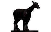 Markhor